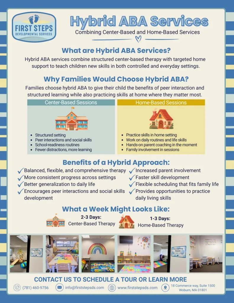 Hybrid ABA Services Infographic